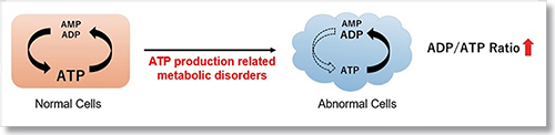 Adp Atp Ratio Assay Kit Luminescence Dojindo